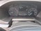 2025 Ford Transit-250 T-250 130" Low Rf 9070 GVWR RWD