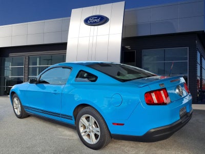 2010 Ford Mustang V6 Premium